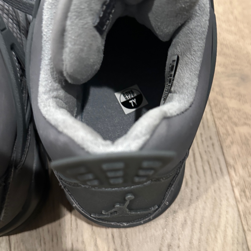 This Is An Air Jordan 4 Retro Se Wet Cement